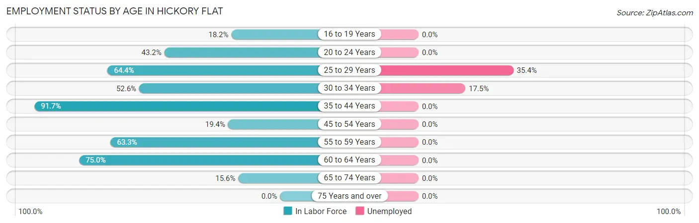 Employment Status by Age in Hickory Flat