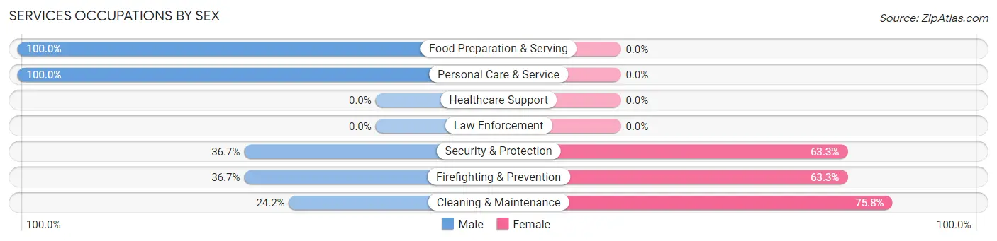 Services Occupations by Sex in Hide A Way Lake