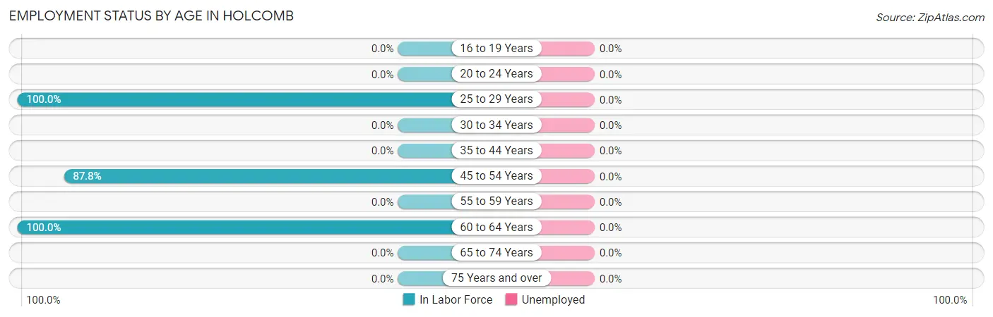 Employment Status by Age in Holcomb