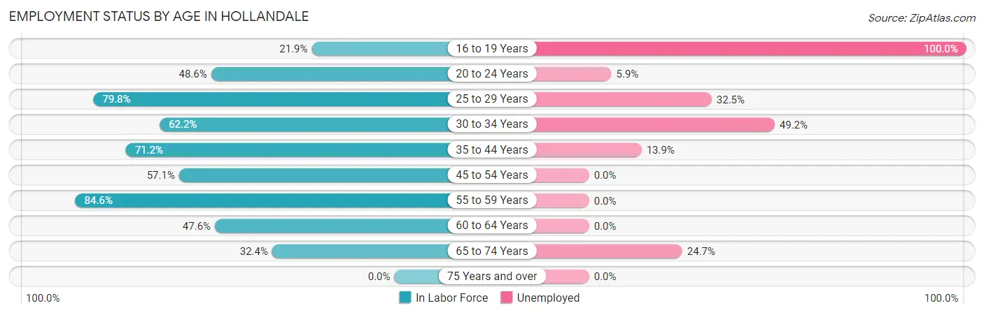 Employment Status by Age in Hollandale