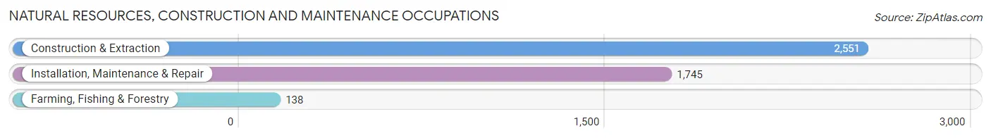 Natural Resources, Construction and Maintenance Occupations in Jackson