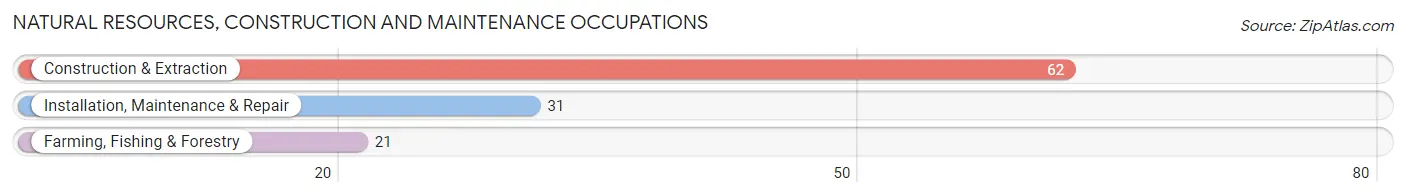 Natural Resources, Construction and Maintenance Occupations in Kosciusko