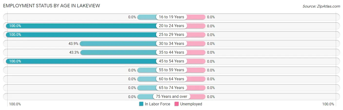 Employment Status by Age in Lakeview