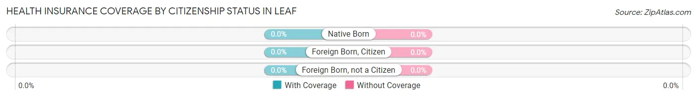 Health Insurance Coverage by Citizenship Status in Leaf