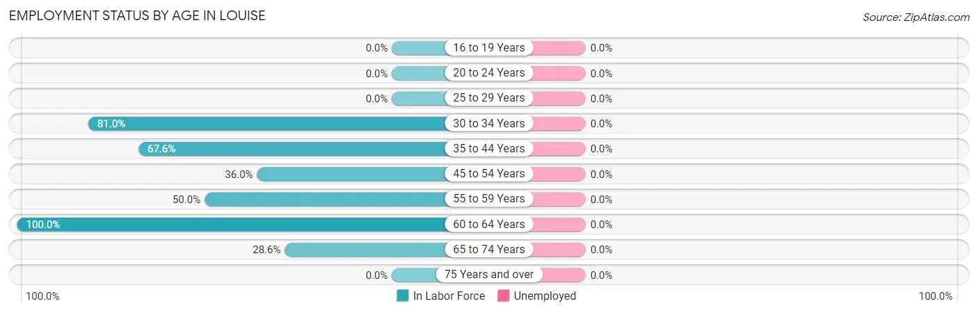 Employment Status by Age in Louise