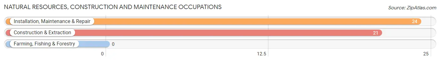 Natural Resources, Construction and Maintenance Occupations in Lucedale