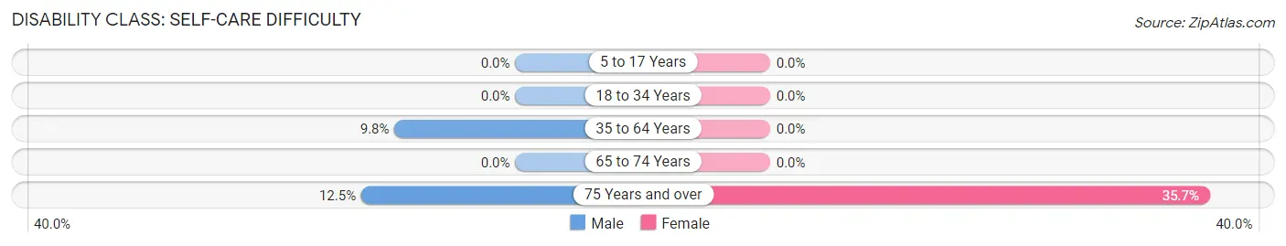 Disability in Lyon: <span>Self-Care Difficulty</span>