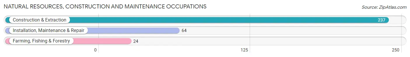 Natural Resources, Construction and Maintenance Occupations in Magee