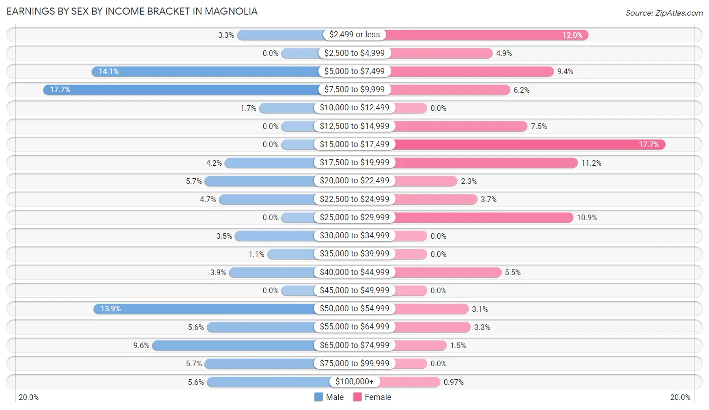 Earnings by Sex by Income Bracket in Magnolia