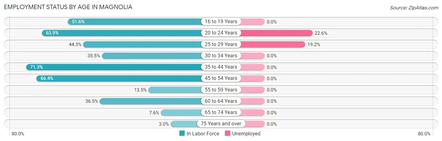 Employment Status by Age in Magnolia