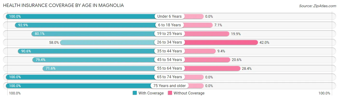 Health Insurance Coverage by Age in Magnolia