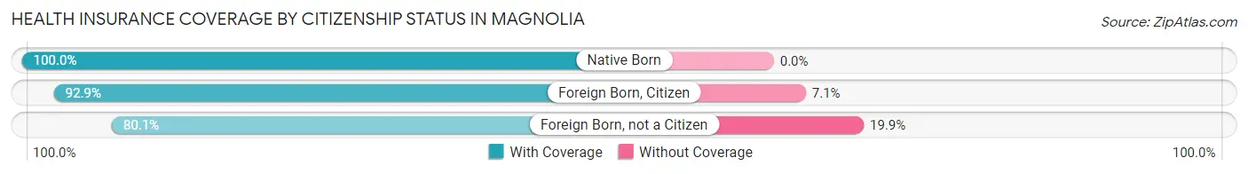 Health Insurance Coverage by Citizenship Status in Magnolia