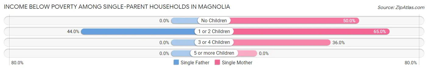 Income Below Poverty Among Single-Parent Households in Magnolia