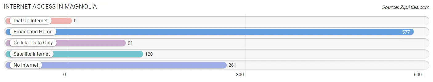 Internet Access in Magnolia