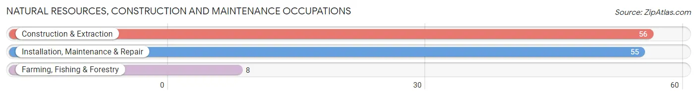 Natural Resources, Construction and Maintenance Occupations in Magnolia