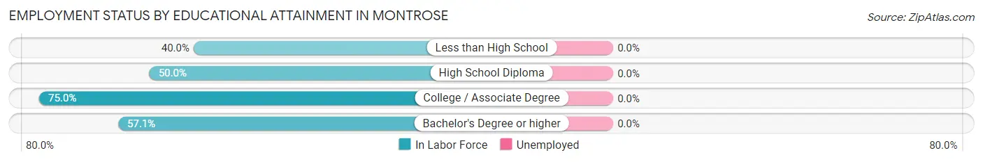 Employment Status by Educational Attainment in Montrose