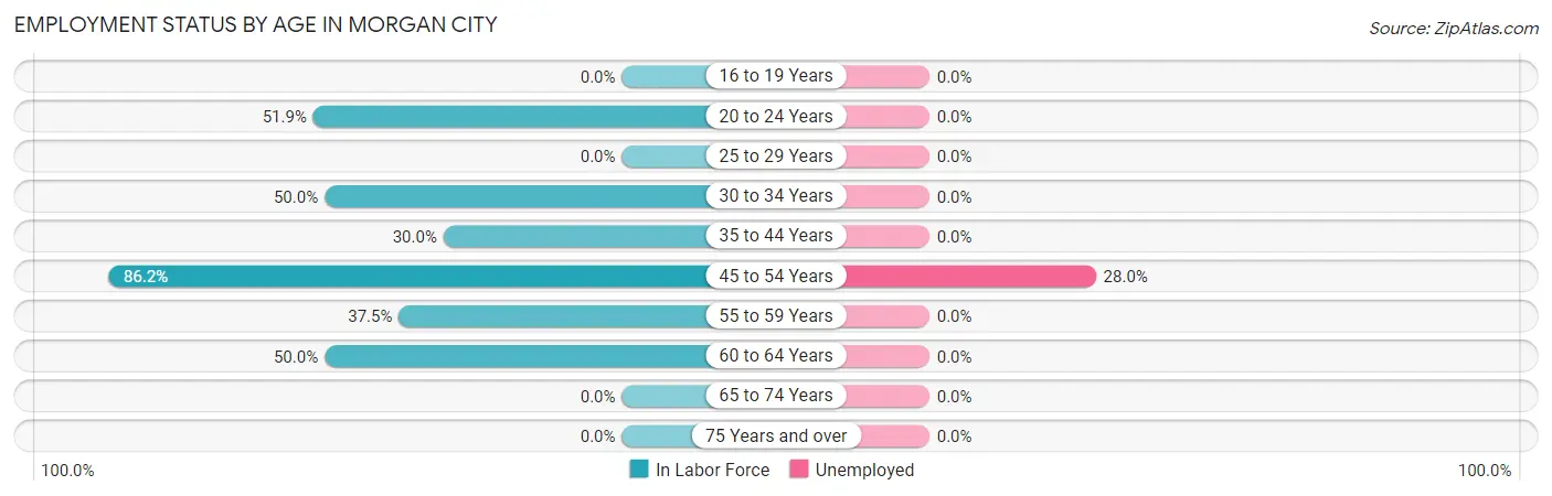Employment Status by Age in Morgan City