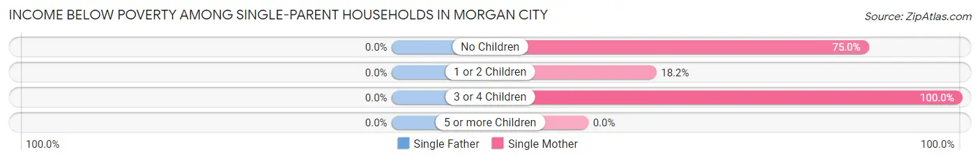 Income Below Poverty Among Single-Parent Households in Morgan City