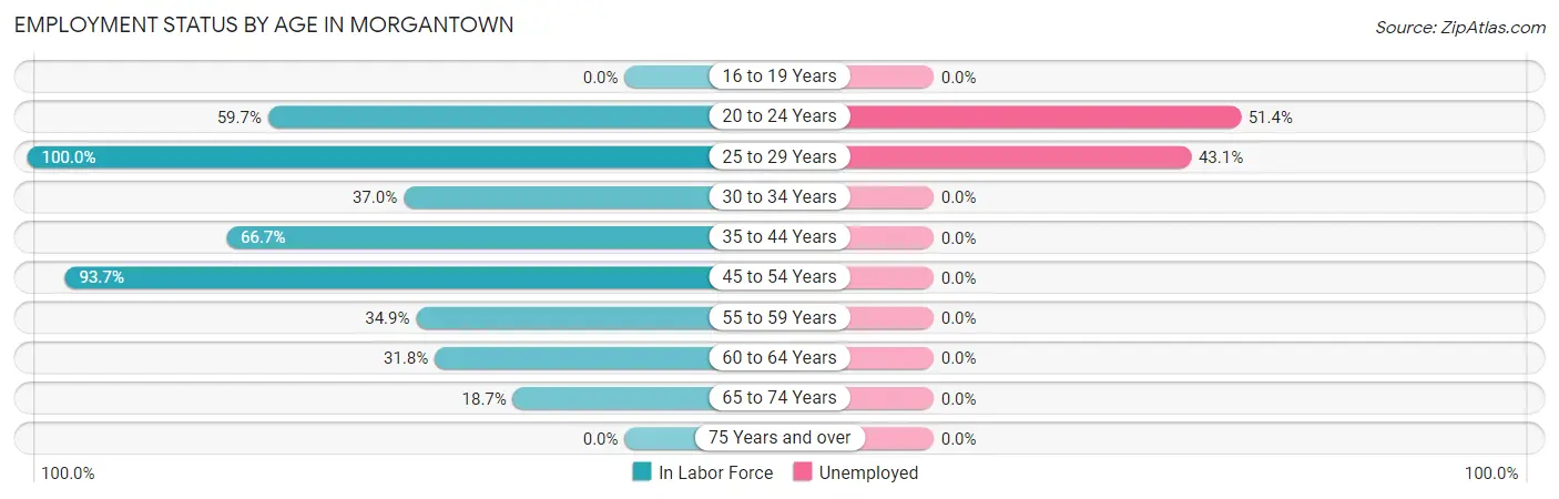 Employment Status by Age in Morgantown