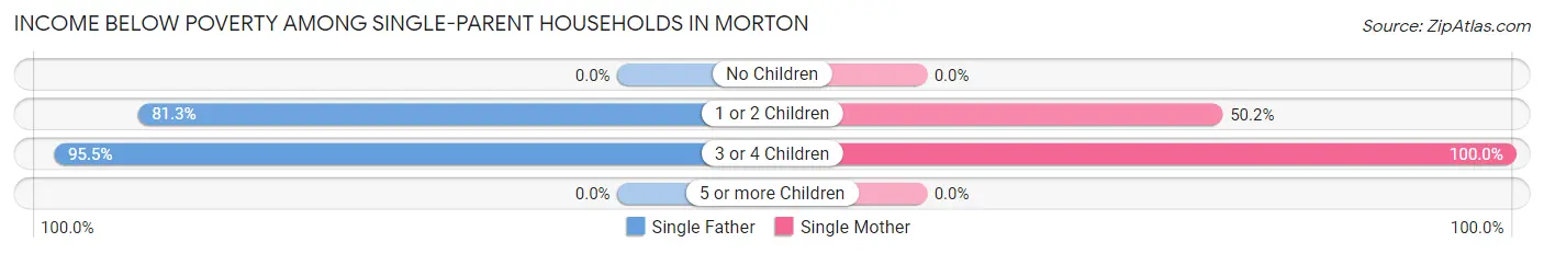 Income Below Poverty Among Single-Parent Households in Morton