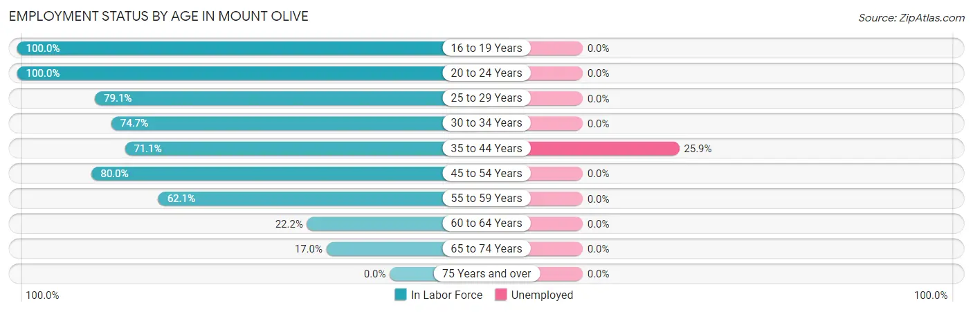 Employment Status by Age in Mount Olive