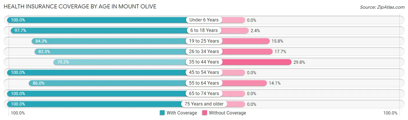 Health Insurance Coverage by Age in Mount Olive