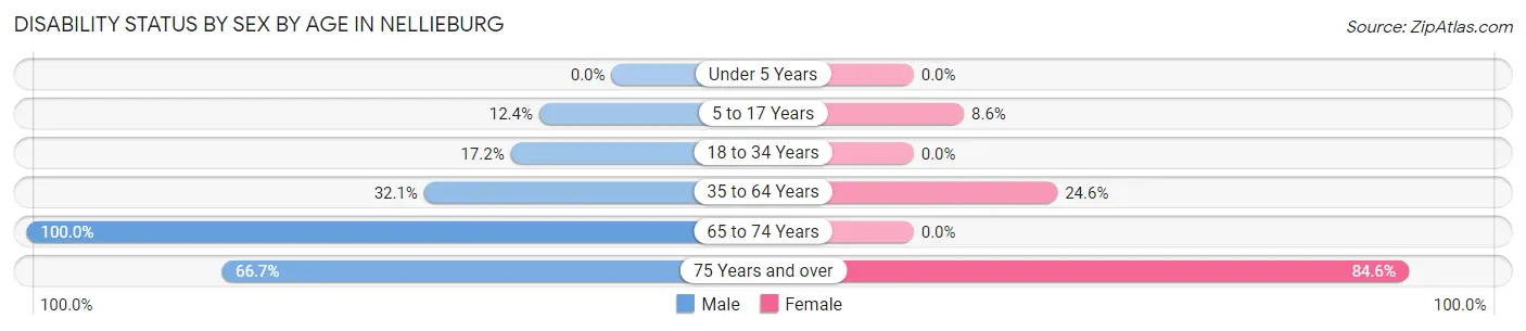 Disability Status by Sex by Age in Nellieburg