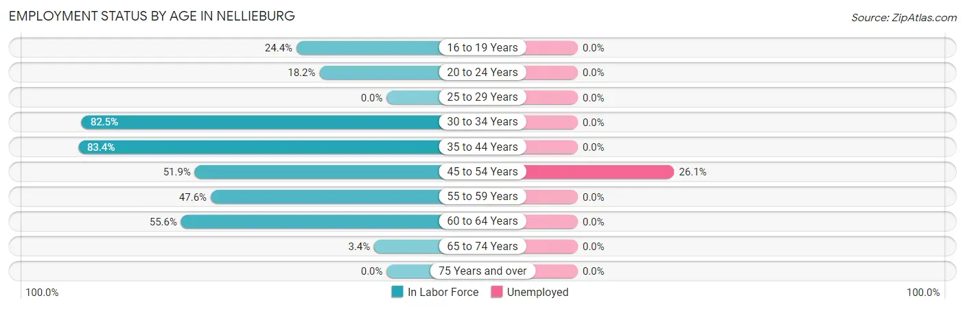 Employment Status by Age in Nellieburg