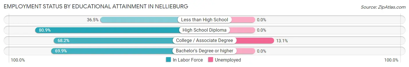 Employment Status by Educational Attainment in Nellieburg