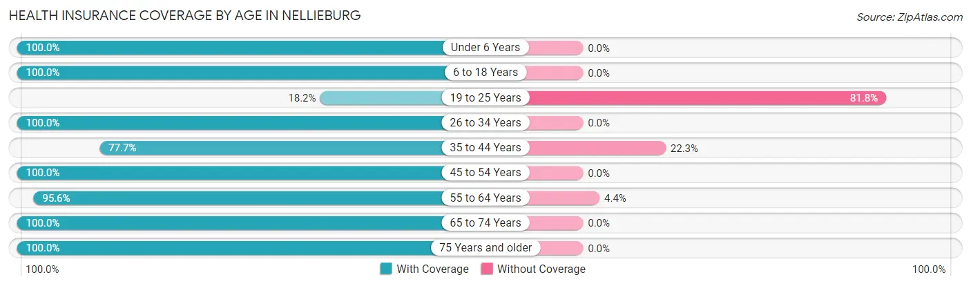 Health Insurance Coverage by Age in Nellieburg