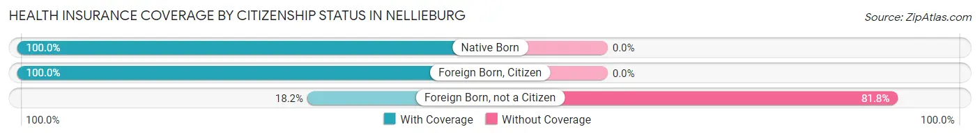 Health Insurance Coverage by Citizenship Status in Nellieburg