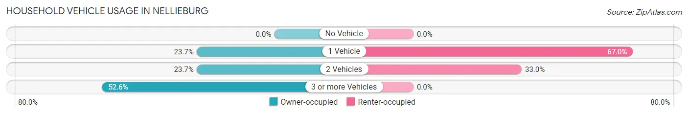 Household Vehicle Usage in Nellieburg