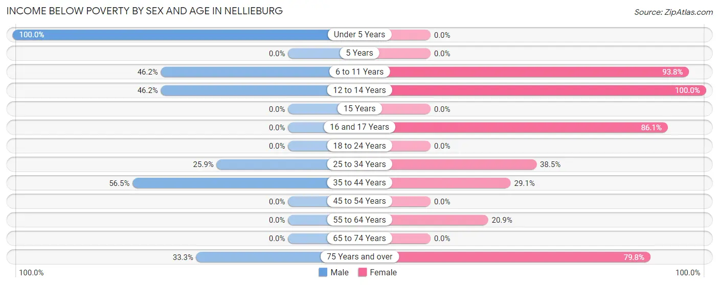 Income Below Poverty by Sex and Age in Nellieburg