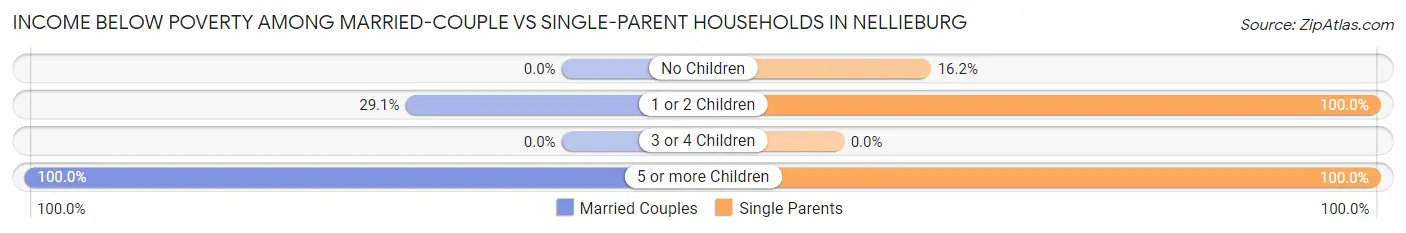 Income Below Poverty Among Married-Couple vs Single-Parent Households in Nellieburg