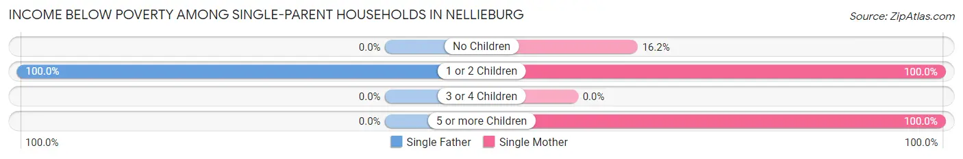 Income Below Poverty Among Single-Parent Households in Nellieburg