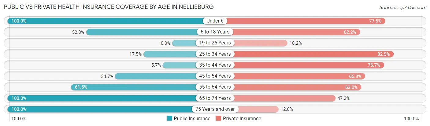 Public vs Private Health Insurance Coverage by Age in Nellieburg
