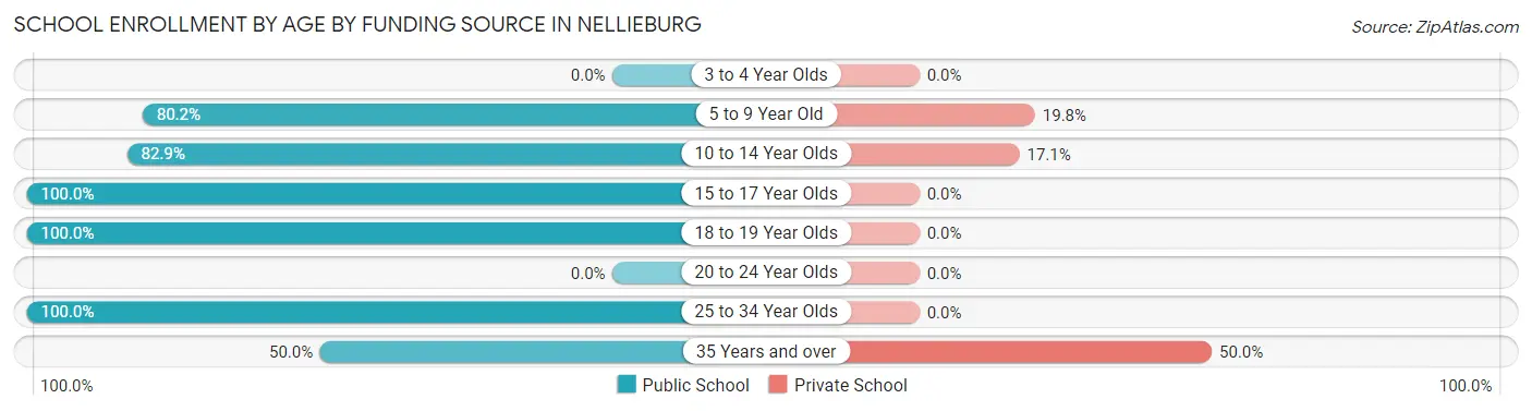 School Enrollment by Age by Funding Source in Nellieburg