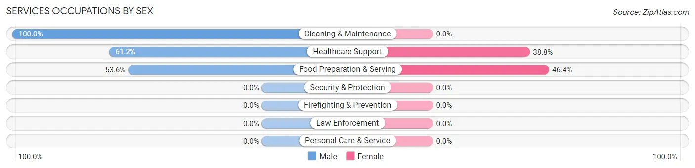 Services Occupations by Sex in Nellieburg