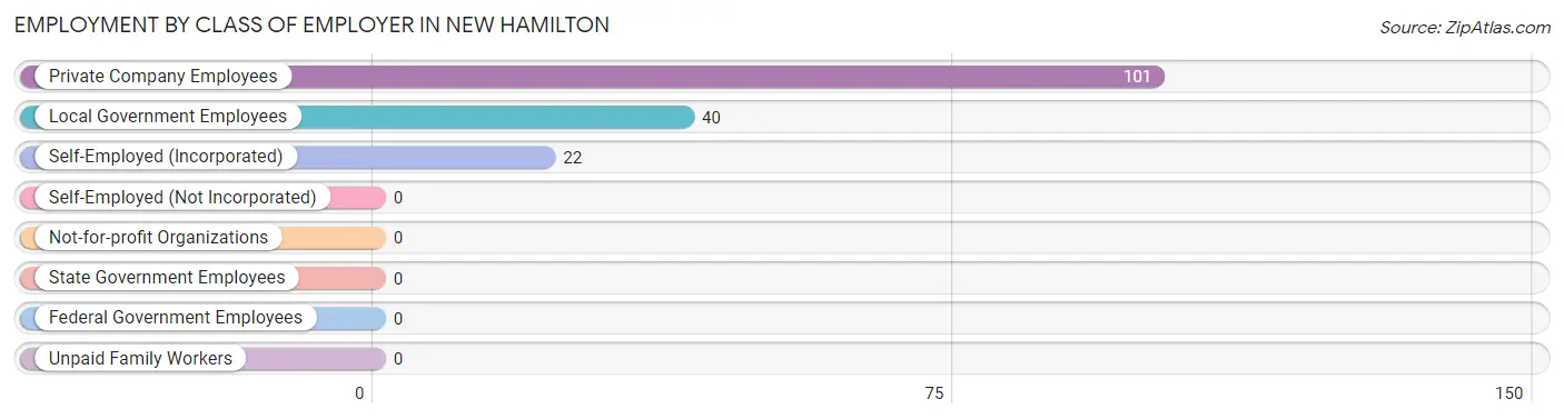 Employment by Class of Employer in New Hamilton