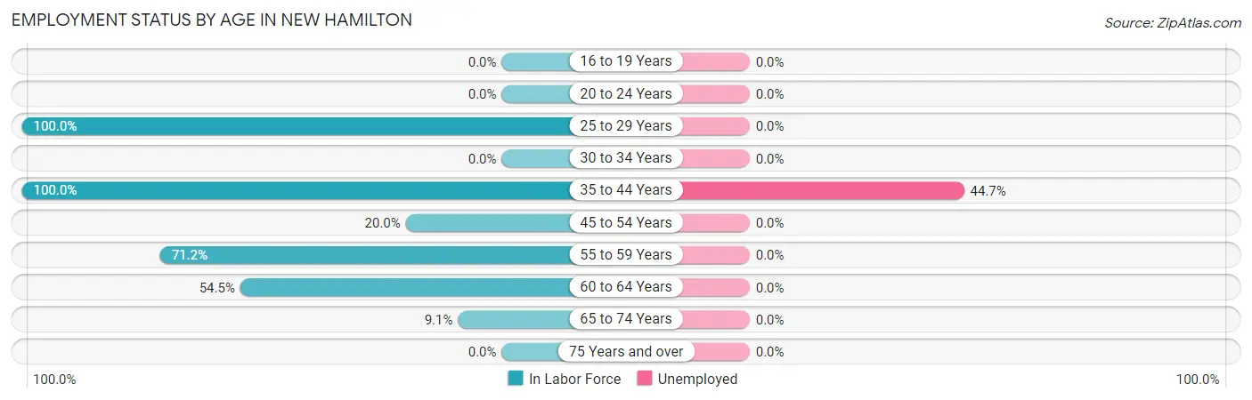 Employment Status by Age in New Hamilton