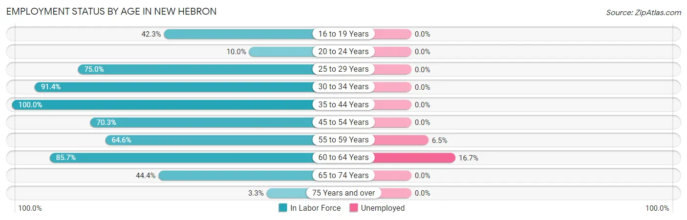 Employment Status by Age in New Hebron