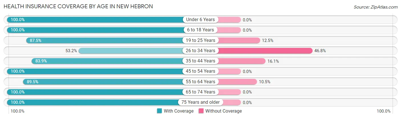 Health Insurance Coverage by Age in New Hebron