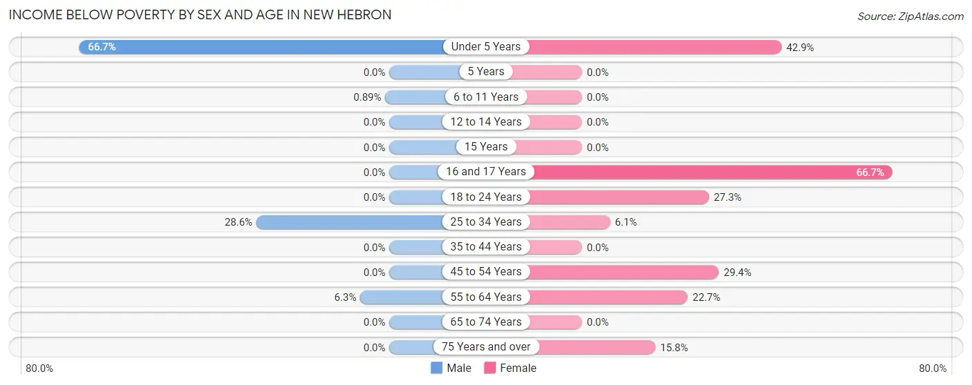 Income Below Poverty by Sex and Age in New Hebron