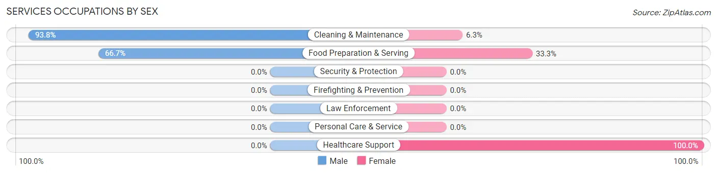Services Occupations by Sex in New Hebron