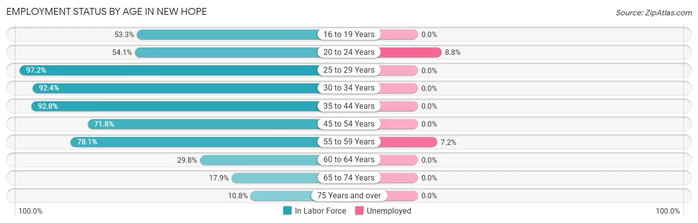 Employment Status by Age in New Hope