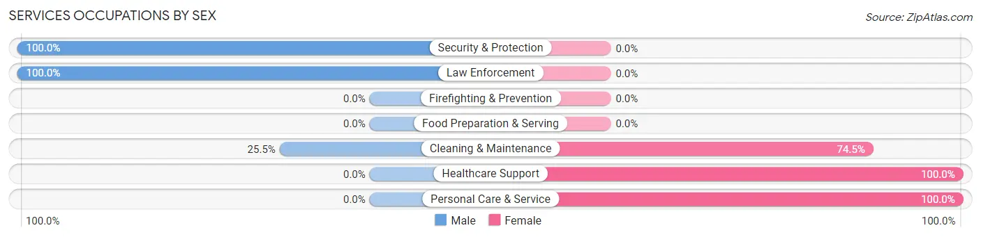 Services Occupations by Sex in Newton