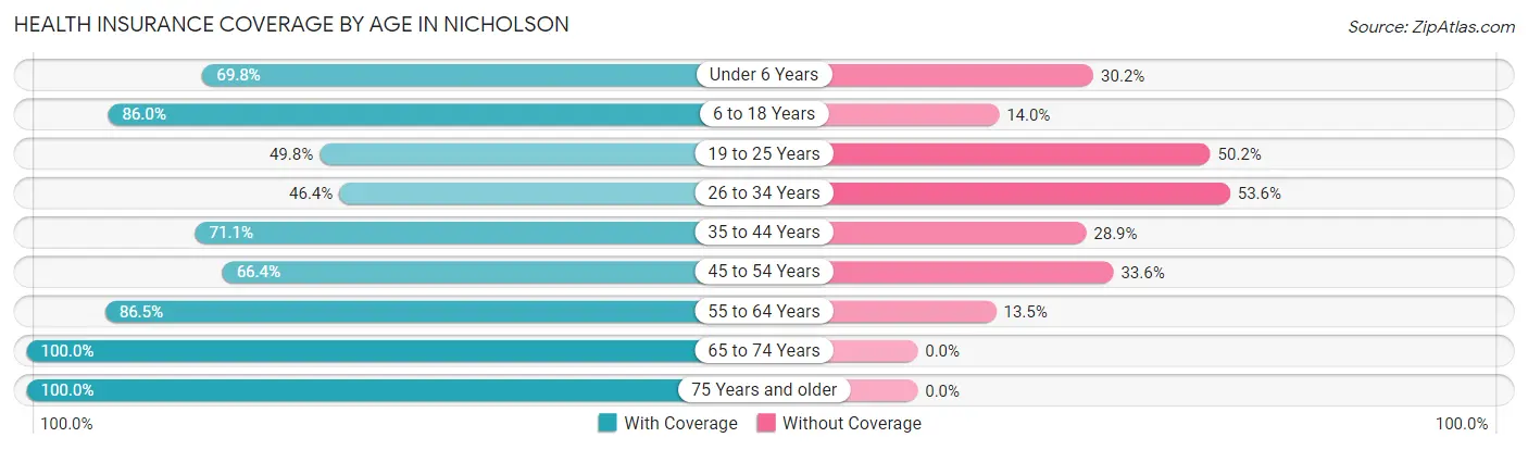 Health Insurance Coverage by Age in Nicholson
