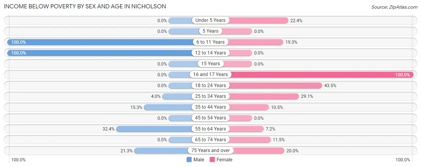 Income Below Poverty by Sex and Age in Nicholson