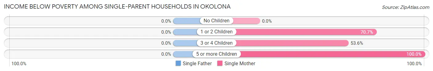 Income Below Poverty Among Single-Parent Households in Okolona