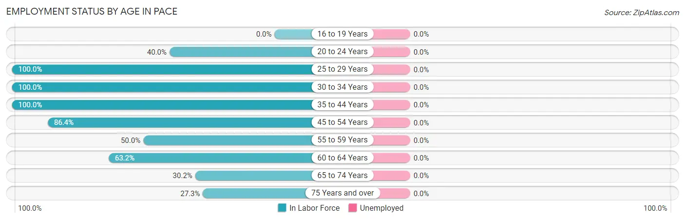 Employment Status by Age in Pace